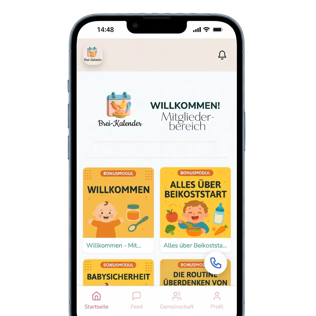 Erfahrungsbericht 2