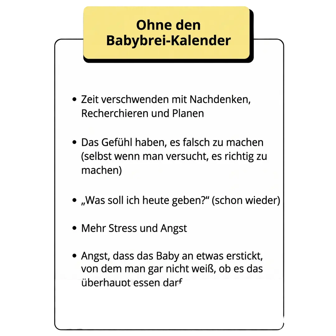 Erfahrungsbericht 3
