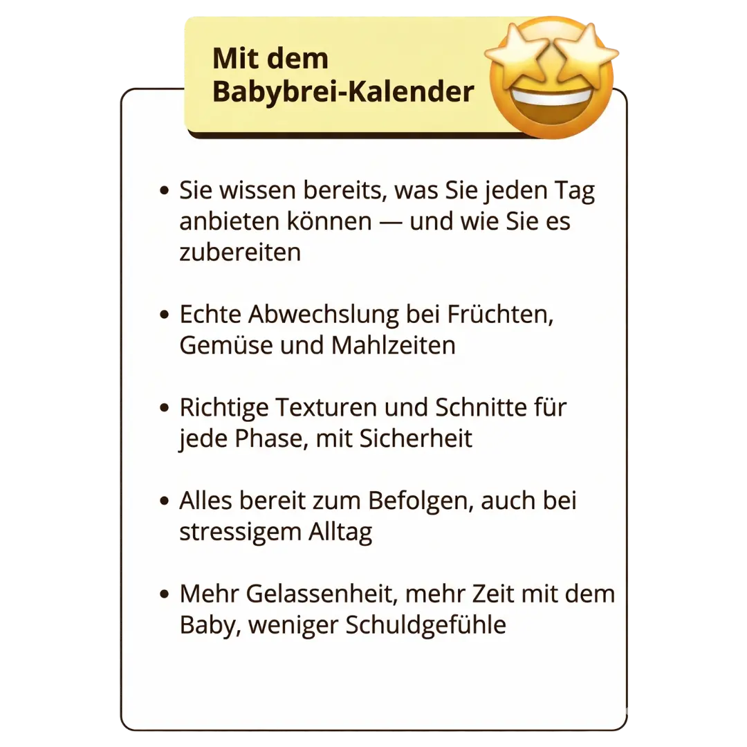 Erfahrungsbericht 5